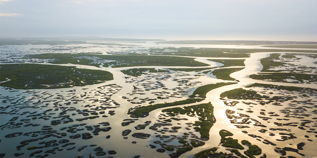 Ending on a High Note