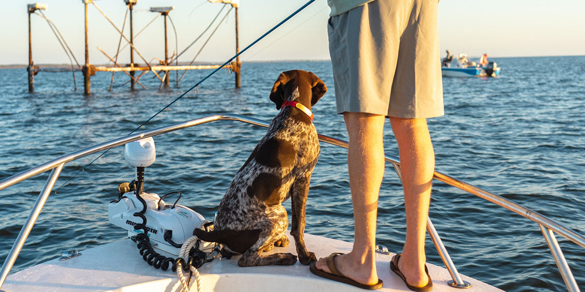 East Bound and Down: Greeting Fall on North Carolina's Crystal Coast