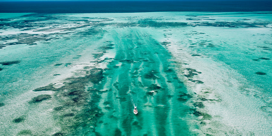 3 Tips to Keep Your Free Fly Gear Fresh