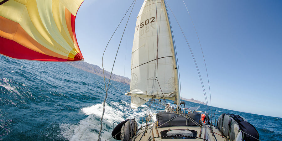 Dispatch: Gulf of California