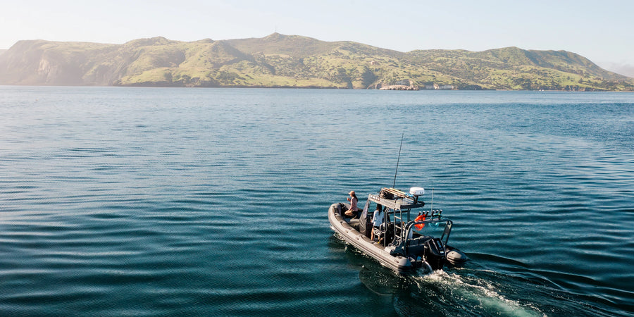 Dispatch: Channel Islands, CA
