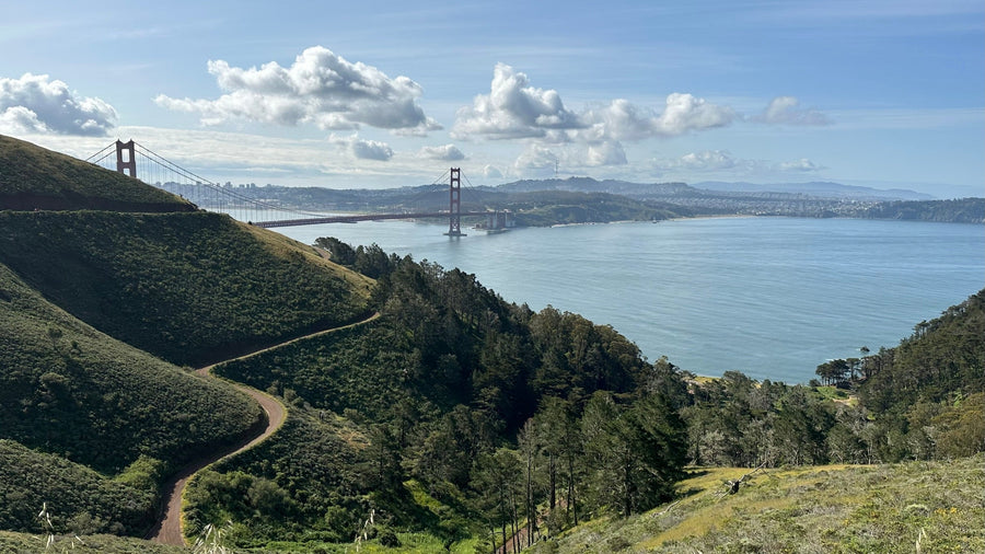 Road Trip: The California Coast