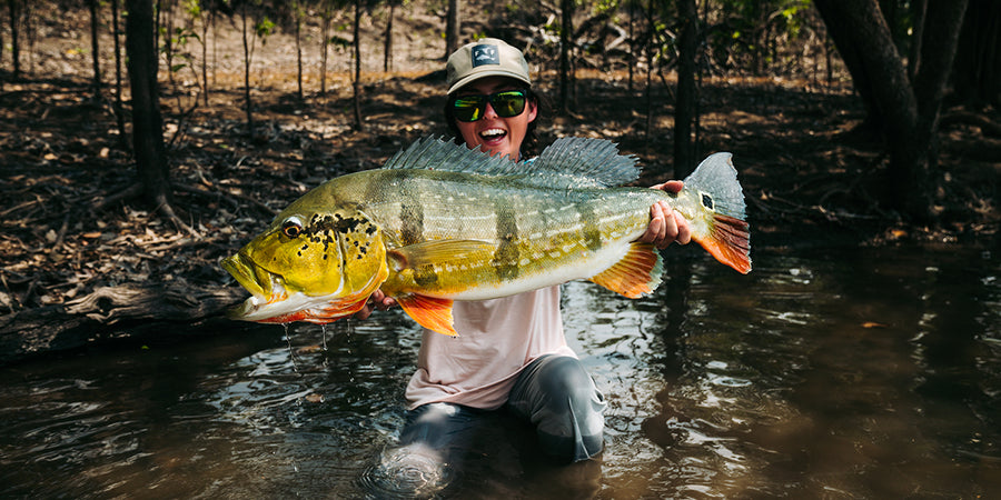 The Path to the Payara and Peacock