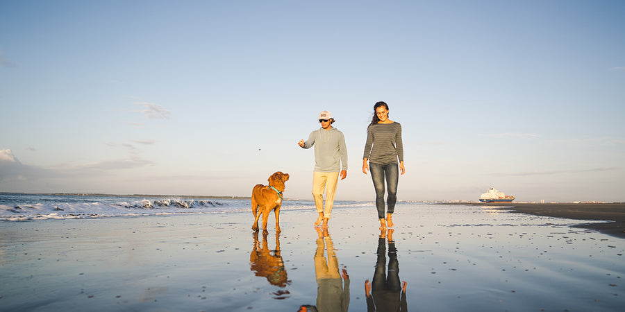 10 Things To Do This Fall On Sullivan's Island