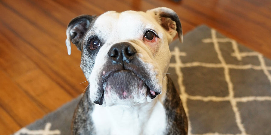 9 Ways to Have a Healthy Work Day