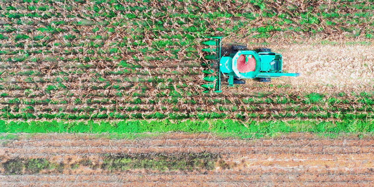 Lowcountry Spotlight: Marsh Hen Mill