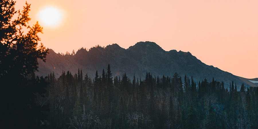 Behind the Scenes: Montana Edition