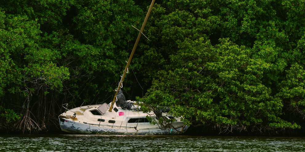 Giving Tuesday | Hurricane Relief