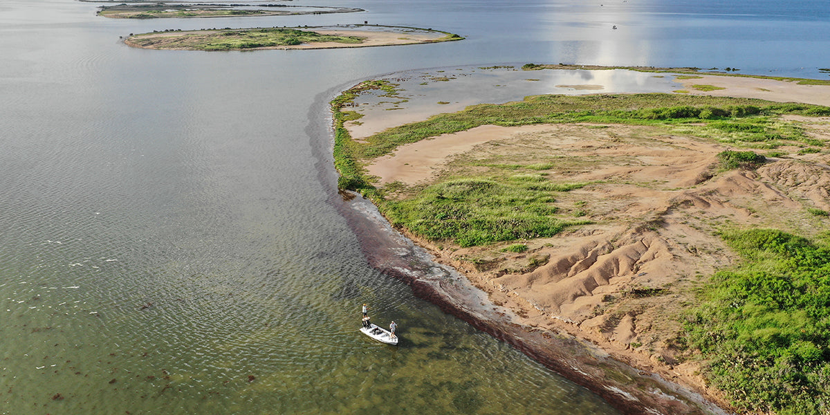 An Escape From the Lowcountry to the Lone Star State.