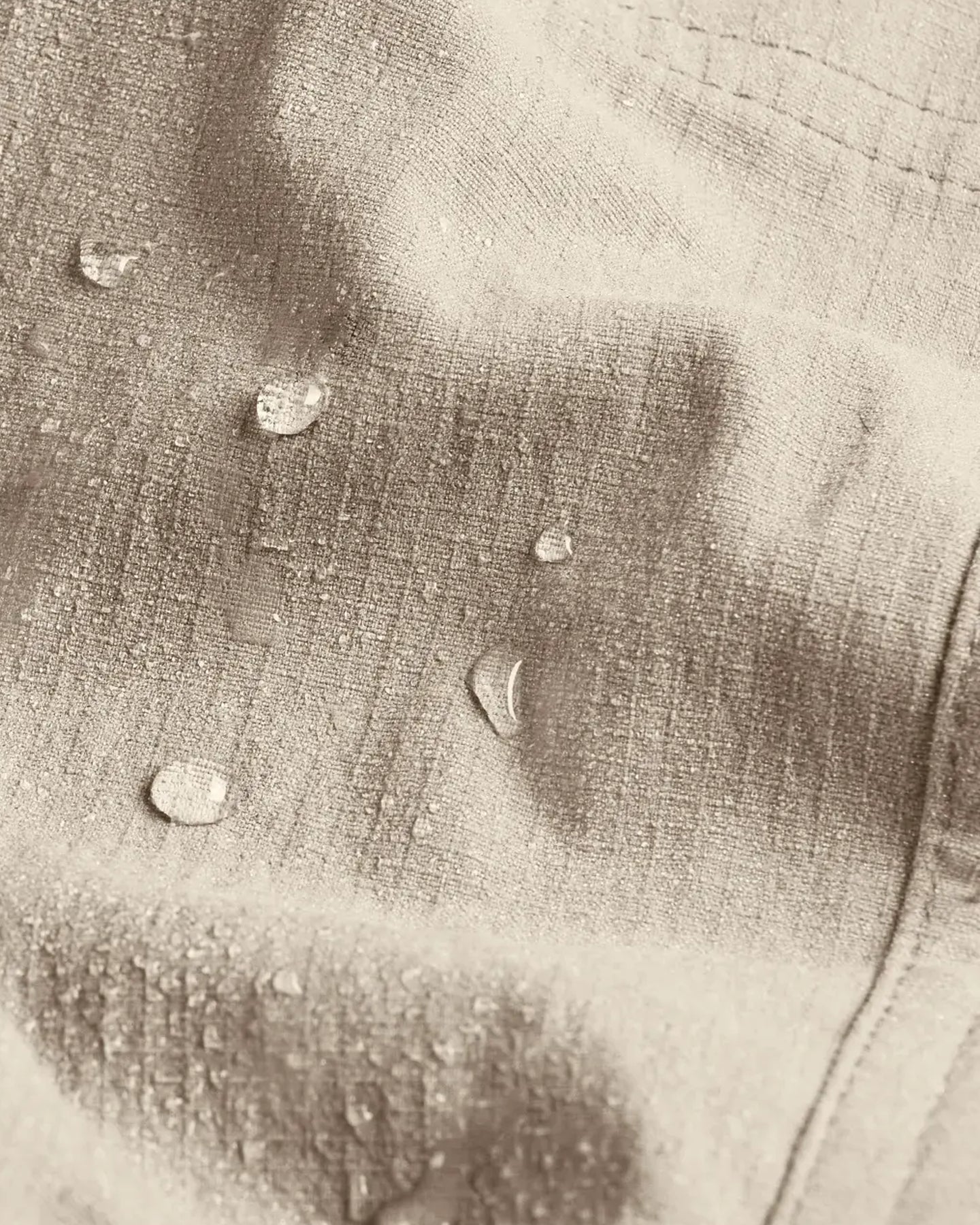 Women's Topogrid Pant - Stone