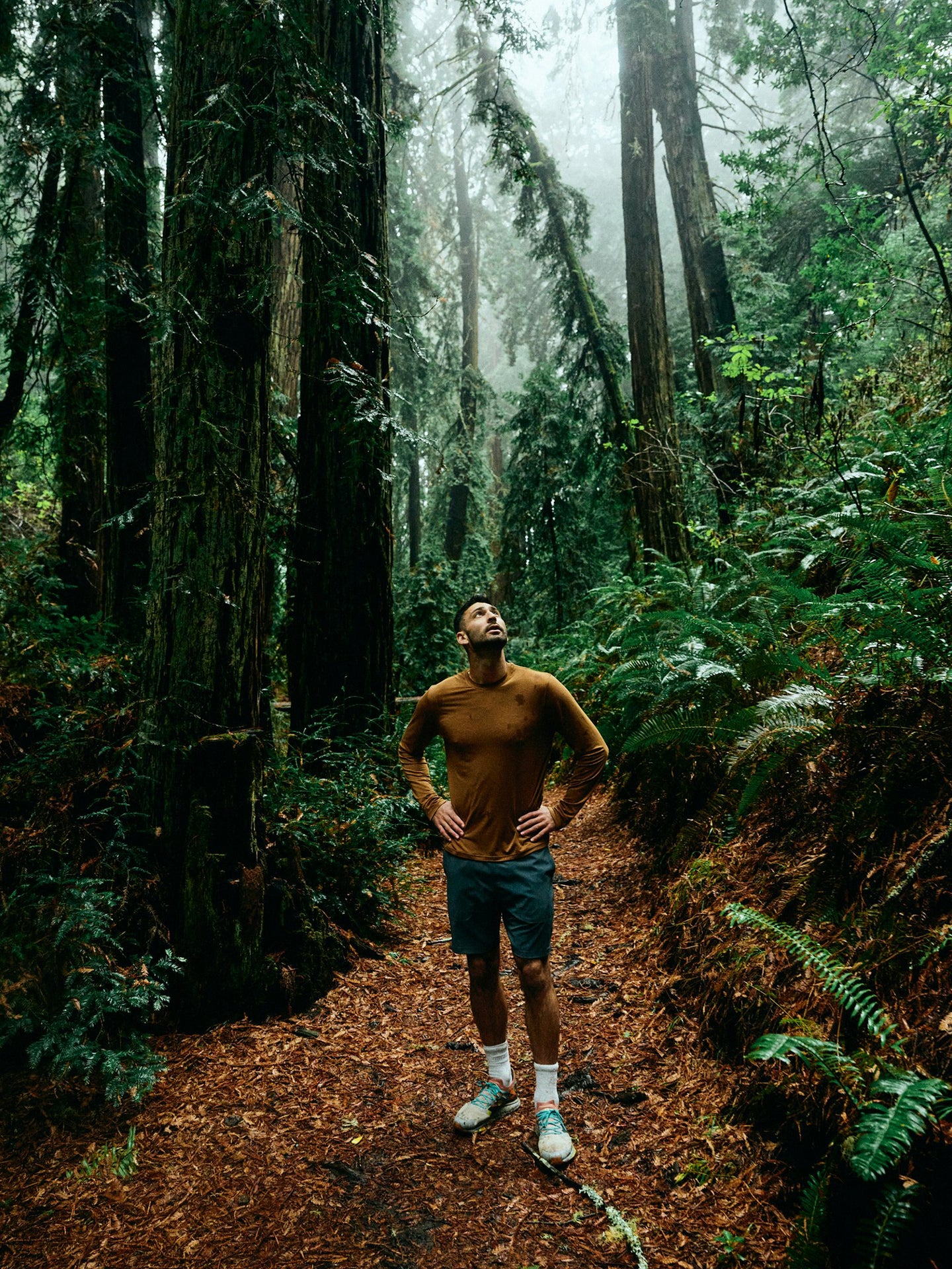 load::first tile::hover