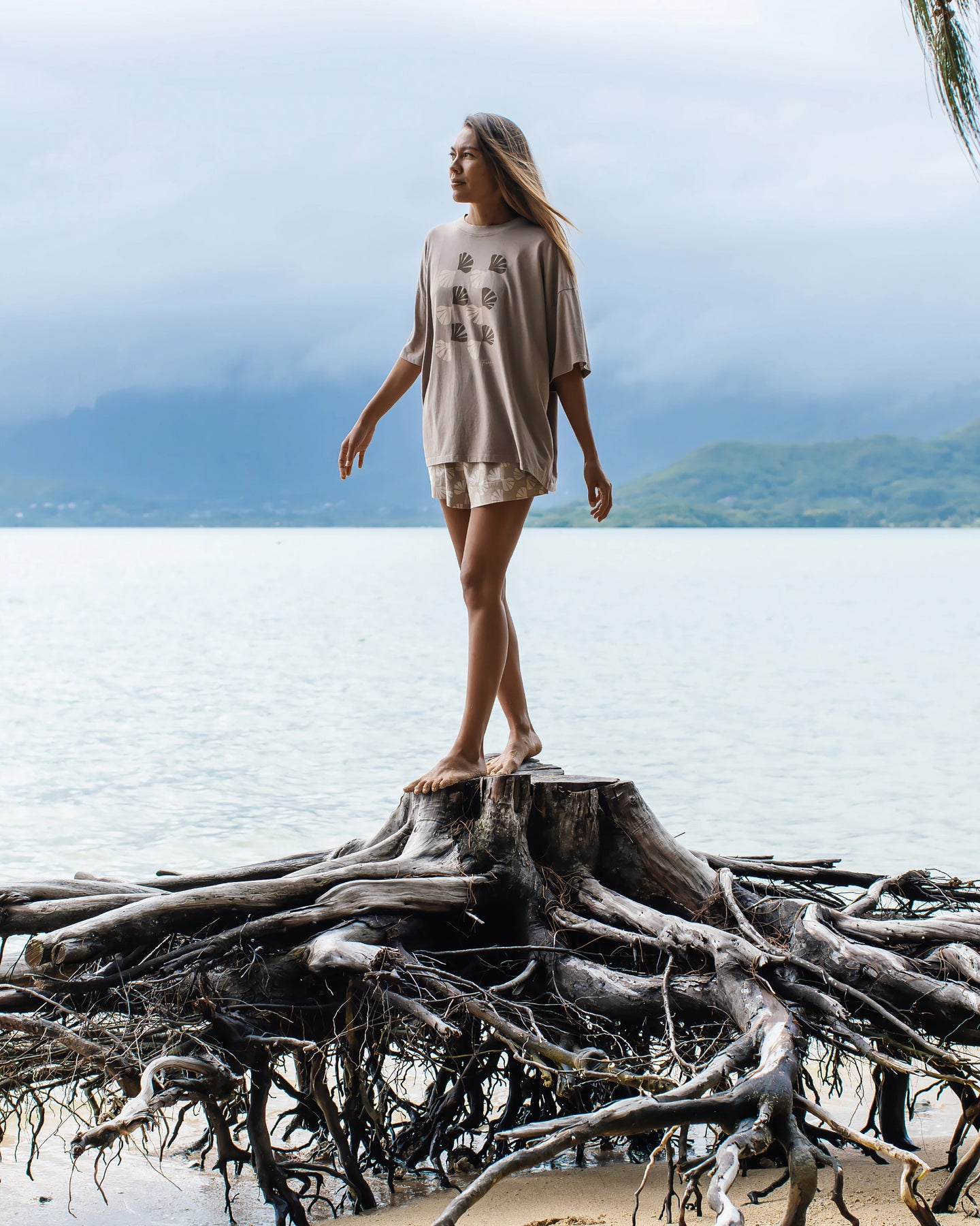 Women's Sea Scallop Tee - Heather Fossil